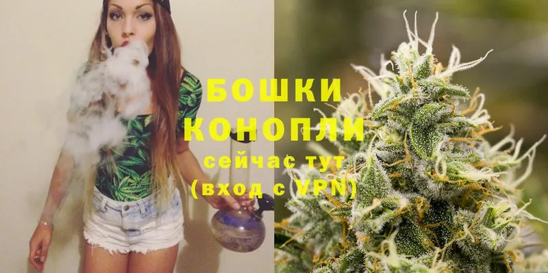 наркота  Вичуга  Конопля White Widow 