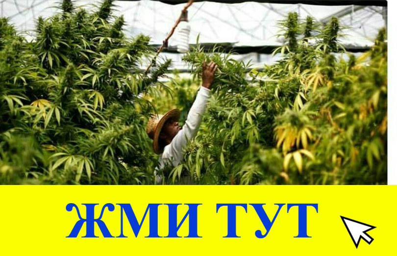 Купить наркотики в Вичуге